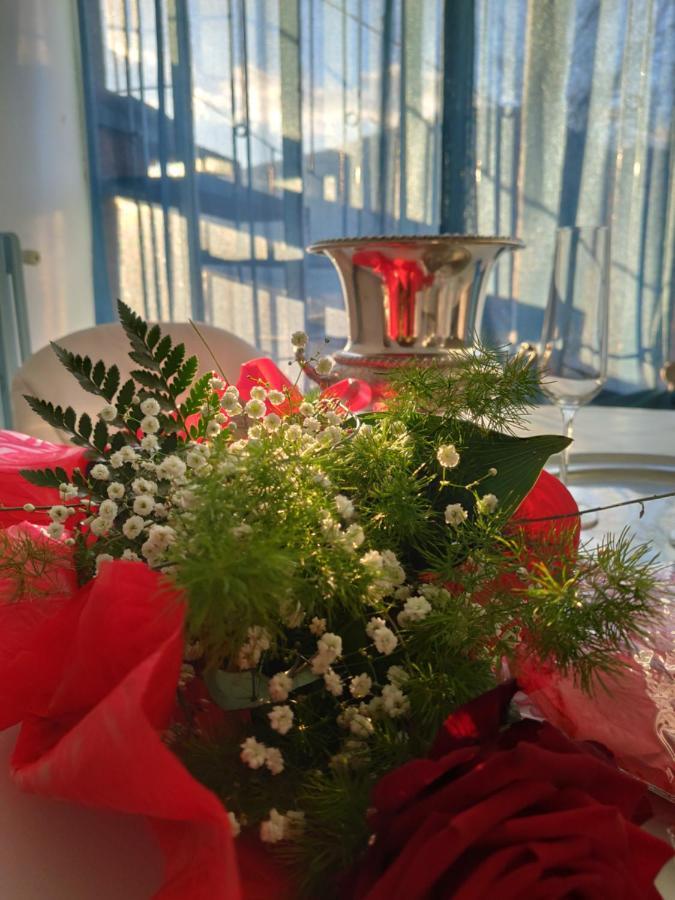 Dimora Marella Patrica - Frosinone Hotel Eksteriør billede